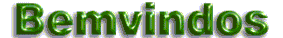 Bem-vindo / Welcome